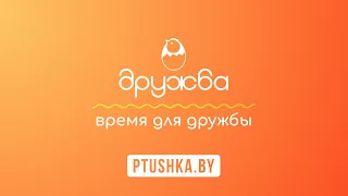 🐥 ОАО «Птицефабрика «Дружба» - корпоративный фильм, Студия Видеолаб