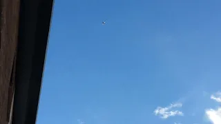 A320neo amazing sound flyover