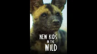 Дикие детишки (Малыши в дикой природе) / New Kids in the Wild Серия 3  Усана детеныш гепарда