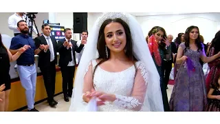 Tarek Shexani - Fener & Felek - Part02 - Ross Deko - Kurdische Hochzeit by Dilocan Pro