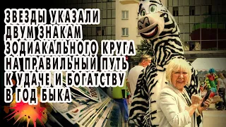 Звезды указали 2 знакам зодиакального круга на правильный путь к удаче и богатству в год Быка