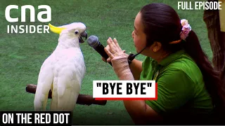 Goodbye, Jurong Bird Park: The Last Day | On The Red Dot | Full Episode