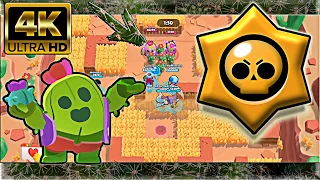 4K Video - Brawl Stars 4⃣K Спайк притворился кактусом 🌵 ставит  кактус, который имеет 3500 здоровья