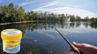 BEST Rig/Setup for Stocked TROUT in Ponds/Lakes + TIPS