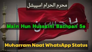 Muharram WhatsApp Naat Status | New Muharram WhatsApp Status 2020 | Tahir Qadri Naat WhatsApp Status