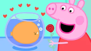 Peppa liebt Goldie, den Goldfisch 🐠 Cartoons für Kinder 💙 Peppa Wutz Neue Folgen