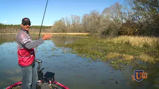 Big Bass HIDE in Thick Vegetation! Learn Fishing Secrets for How to Catch Them