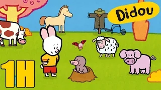 1 heure de Didou, dessine-moi la campagne | Compilation | Dessins animés pour les enfants