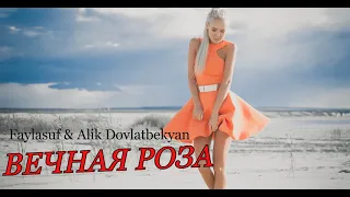 Faylasuf & Alik Dovlatbekyan - Вечная роза  I Video Edit