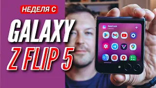 GALAXY Z FLIP 5. НЕДЕЛЯ ИСПОЛЬЗОВАНИЯ.