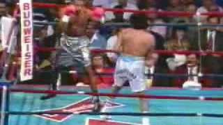 Roy jones vs Jorge Locomotora Castro