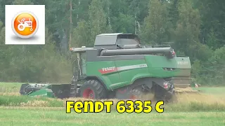 Harvest 2019 | Fendt 6335 C combine harvesting barley