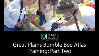 Great Plains Bumble Bee Atlas Training: Part Two