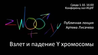 Возникновение и эволюция половых хромосом или взлет и падение Y хромосомы