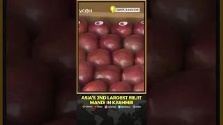 Asia’s second-largest fruit mandi in Kashmir abuzz with buyers from across India