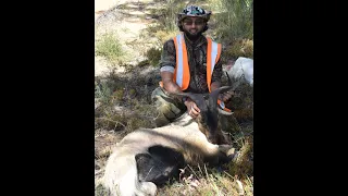 Pilliga State Forest Hunting- Kill and Cook