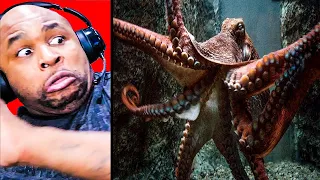 THE OCEAN IS WAY DEEPER THAN YOU THINK #17(Only Watch If Your Scared Of Huge Underwater Monsters!!)
