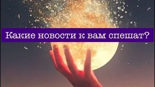 Сердце под ладонью дрожью выдает бегство и погоню, трепет и полет 🥰🍀💌