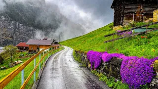 Beautiful rain walking tour in Gimmelwald 🇨🇭 A Swiss village