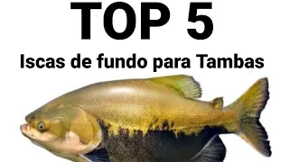 Top 5 - iscas de fundo para Tambaqui, Tambacu, pacu e outros redondos