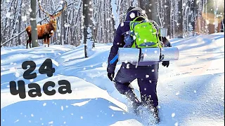 24 HOURS IN THE WINTER FOREST WITH GOODS FROM AUCHAN! - bushcraft