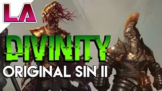 SAHEILA ELF CAVE - Divinity Original Sin 2 Walkthrough Gameplay Guide Part 3 with Litanah