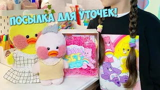 PACKAGE FOR DUCKS from CARING BEARS! Milka and Ksyusha