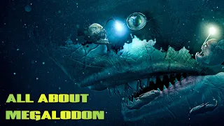 Megalodon Origins, Life Cycle, Food & Enemies Explained