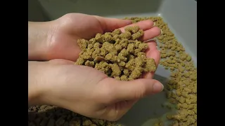 Carp pellets-homemade