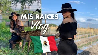 MIS RAICES | La Vida Bárbara