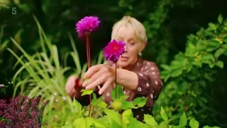 Summer Gardening with Carol Klein🍀Episode 5