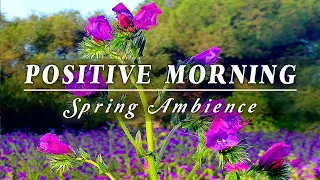 Healing Nature Meditation 🌷 POSITIVE SPRING MORNING AMBIENCE 🌷 Birds Singing & Flowery Meadow Sounds