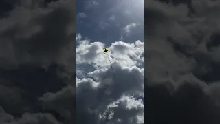 Jamaican 🇯🇲 Kite 🪁 Flying Today