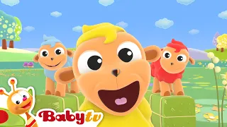 La oveja negra 🐑 | Canciones & Rimas | Rimas y canciones infantiles para niños@BabyTVSP​