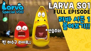 🆂🅿🅴🅲🅸🅰🅻▶LARVA S01 | 라바 시즌 1 | FULL Episode | 시간순삭!! 코믹 애벌레들의 하수구 생존기!! | 케이블 TV_VOD
