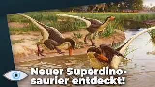 Superdino! Raptor war ganz anders, als wir es uns vorstellen!