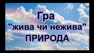 Гра "Жива та нежива природа". Відеогра