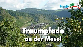 3 Traumpfade an der Mosel | Rhein-Eifel.TV