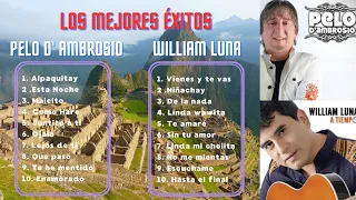 PELO D' AMBROSIO Y WILLIAM LUNA MIX 💽, Los Mejores Éxitos 🎙️🔊🎶