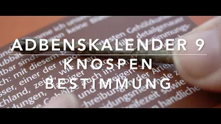 AdBensKalender 9-2021: Bäume anhand ihrer Knospen bestimmen