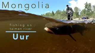 Mongolia Uur - Fishing on TAIMEN river