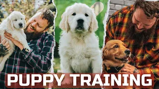 Everything You Need To Know To Train A Perfect Puppy In Under 40 minutes