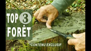 3 Techniques Méconnues pour Survivre dans la Forêt