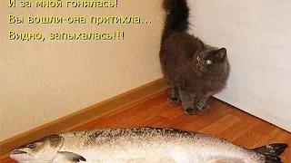 Котлеты из горбуши "Ну, ё-моё..." (рецепт, пародия от Глафиры Абрамовны)