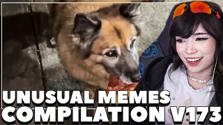 Emiru Reacts To: "UNUSUAL MEMES COMPILATION V173"