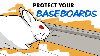 Rabbit Chewing Your Baseboards? Try This!