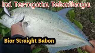 WARNA  MINNOW  YANG disukai  IKAN Giant Travelly