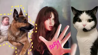 Best memes #51 2023 | Не смішні і не цікаві відео приколи з Instagram і музикою | Tiktok