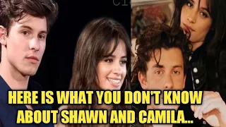 "WoW" Shawn Mendes and Camila Cabello Have an Entire Playlist of Special Songs.