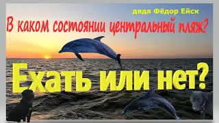 В каком состоянии центральный пляж? Ехать или нет в отпуск на море. Азовское море. Ейск.